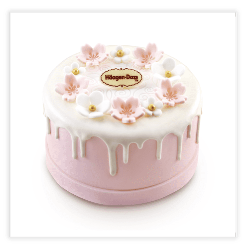 Haagen Dazs decorated cake in little garden theme