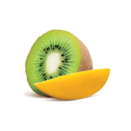Kiwi and Mango Frozen Yogurt Pint